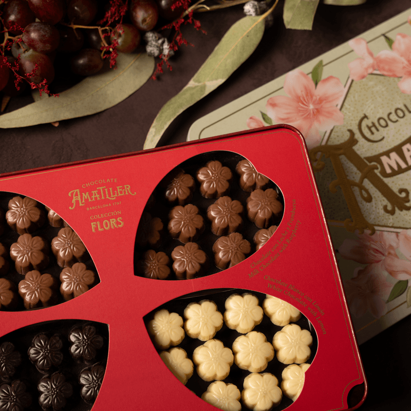 lifestyle-nova-web--5-