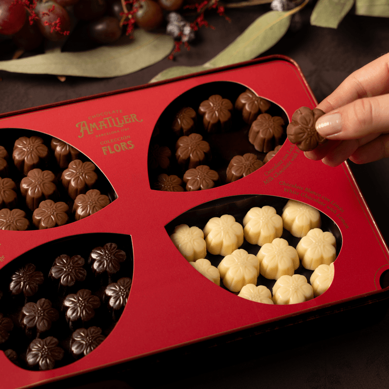 lifestyle-nova-web--6-